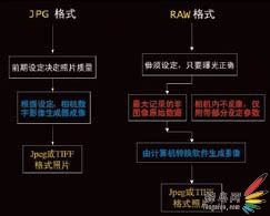 为什么RAW格式可以使图像处理游刃有余?