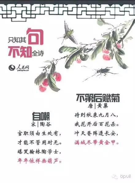 图说:只知其句不知全诗 | 错过太多精彩  生活 第4张