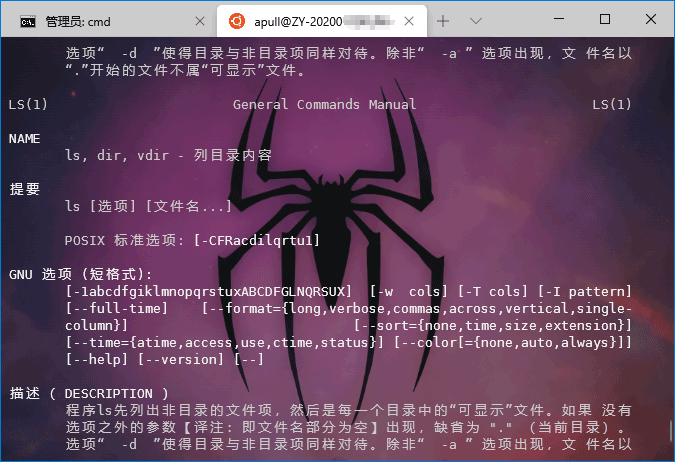 wsl下Ubuntu中文显示方法  Linux 电脑 技术 第3张