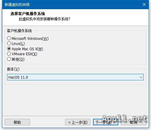 VMware虚拟机安装MacOS Big Sur 11.0.1  技术 生活 电脑 MacOS 第2张