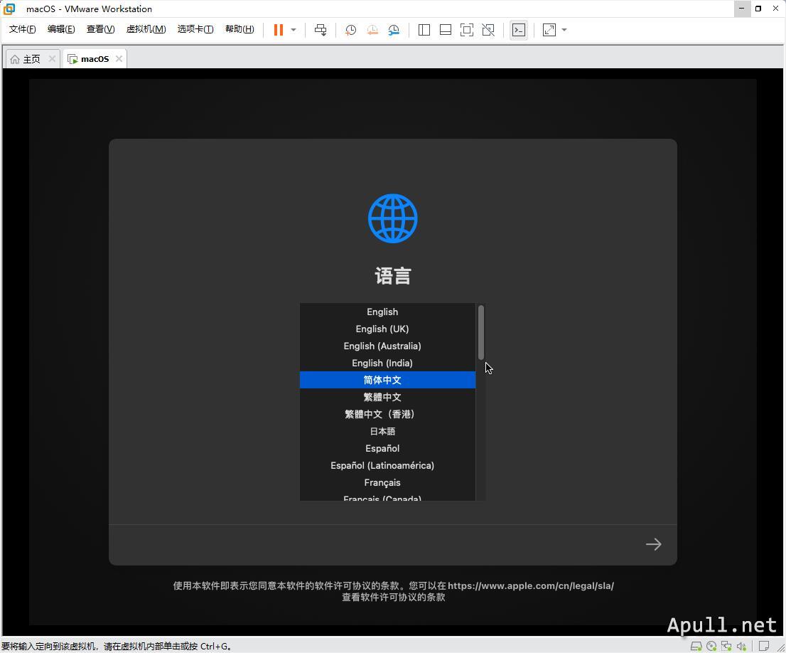VMware虚拟机安装MacOS Big Sur 11.0.1  技术 生活 电脑 MacOS 第6张