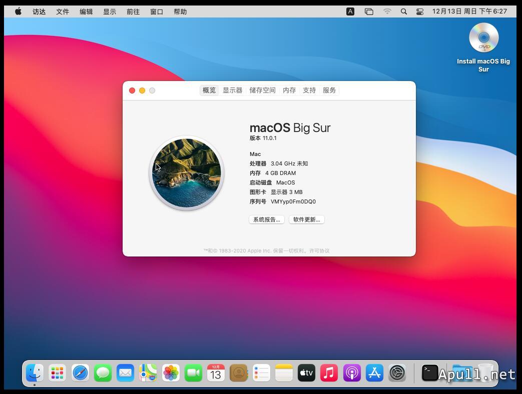 VMware虚拟机安装MacOS Big Sur 11.0.1  技术 生活 电脑 MacOS 第12张