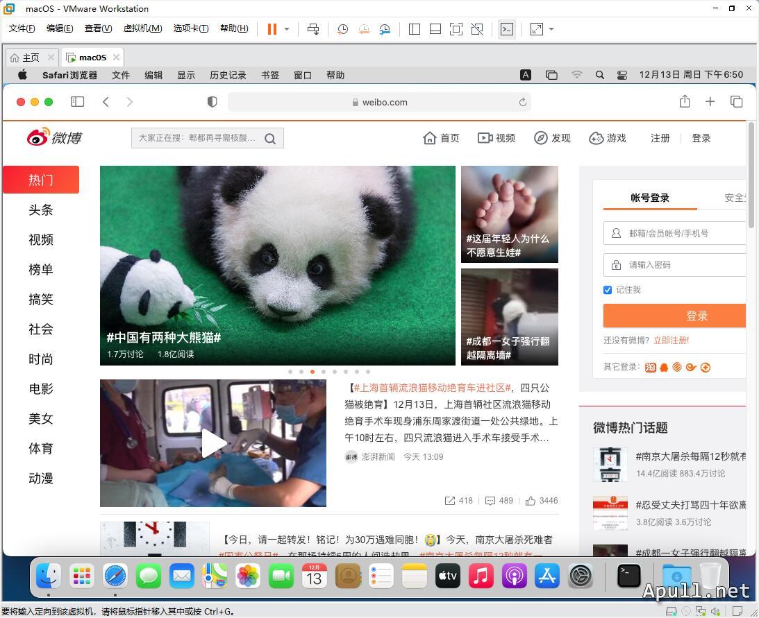 VMware虚拟机安装MacOS Big Sur 11.0.1  技术 生活 电脑 MacOS 第24张